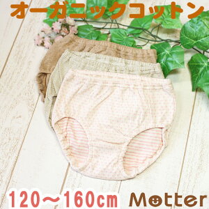 V[c WjA ̎q Iׂ12ރV[c ^CvA I[KjbNRbg pc   { q  100 w Ci[ girl junior shorts 120cm 130cm 140cm 150cm 160cm