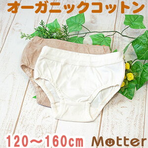 V[c WjA ̎q VnV[c ^CvB I[KjbNRbg pc   { q  100 w Ci[ girl junior shorts 120cm 130cm 140cm 150cm 160cm