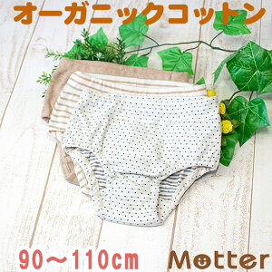 V[c LbY ̎q Iׂ12ރV[c ^CvB I[KjbNRbg pc   { q  100 Ci[ girl kids shorts organic cotton 90cm 100cm 110cm