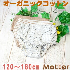 V[c WjA ̎q Iׂ12ރV[c ^CvB I[KjbNRbg pc   { q  100 w Ci[ girl junior shorts 120cm 130cm 140cm 150cm 160cm