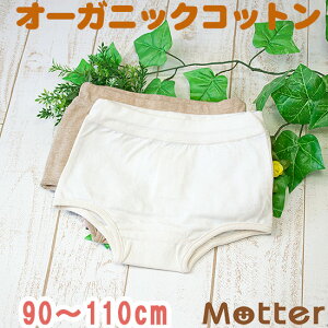 {NT[pc LbY ̎q Vn{NT[V[c I[KjbNRbg pc {bNXV[c   { q  100 Ci[ girl kids shorts boxer pants 90 100 110
