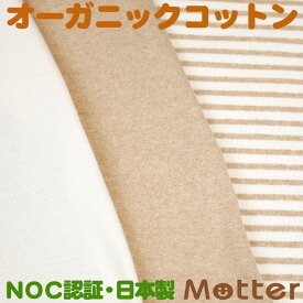 オーガニックコットン 生地 フライス起毛 きなり/ブラウン/ボーダー 有機栽培綿 布 布地 綿 日本製 オーガニックコットンテキスタイル 綿100% Organic Ctton Cioth
