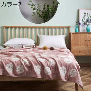 K[[Pbg 6dK[[ ^IPbg 100% 炩 K[[n VO _u zc  Ĕ K[[Pbg 킢 GAR΍ Jo[sv Ci[Pbg k Ђ| ĕzc 