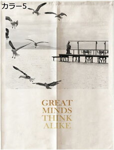 JtFJ[e ̂ ^yXg[ ډB i`t J[10 [Y MуXe  CeA d؂ J[e   85*90cm 킢  Lb` k fUC