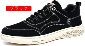 EH[LOV[Y jOV[Y Y NbVoRC ʋC [Jbg [XAbv oRV[Y bVAbp[ XG[h JWAV[Y ʋ w Ɨp V