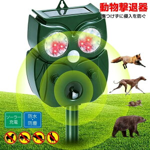 �F�悯 �L�悯 �����g �L�悯�΍� �������ފ� �L���� �ŋ� �� �C�m�V�V �l�Y�~ �ގ� ���� �\�[���[ �[�d �˂��悯 �n�N�r�V�� �A���C�O�} �� �Q�b �� �T ��ǔL �� �� �� �R�E����