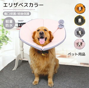 首輪 エリザベスカラー 犬用」の人気商品一覧・価格比較 - 価格.com