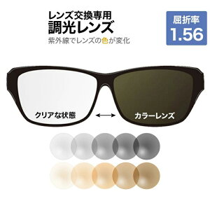 y10OFFN[|+P10{!zyOŐFς钲Yz Kl̃Y Y ܗ1.56 OŐFς UVJbg OJbg Y xt xȂ uE O