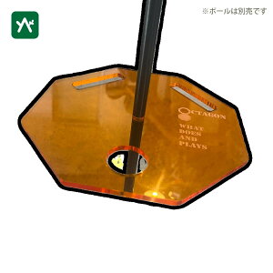 GtB efim OCTA F PLATE ^X^h AM OC-PL-AM2 [^ANZT[]yZ[ii͕ԕiEsz