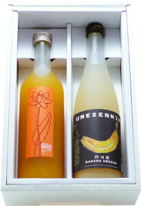 ~Mtg Ε |Cg2{Ώەi 11/1`12/31 L[ t[cn~720ml2{ Mtgϔ (ʐ^̔ƈႤꍇL܂)yyMt_zyyMt_̂zyyMt_̂