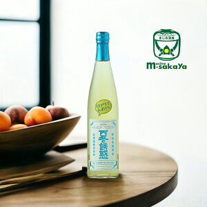 y ʌ z Ă̗Uf Y_ߏĒ 500ml  2025 Ē Vg̗Uf̌gp VF[M3Nñ\[_  Ȓ 戵X