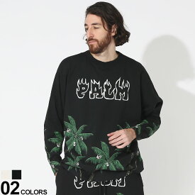 Palm Angels (パームエンジェルス) プリント クルーネック 長袖 Tシャツ PALMS&SKULLブランド メンズ 男性 トップス Tシャツ 長袖 ロンT PA001S23JER002