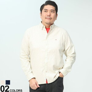 TOMMY HILFIGER Vc 傫TCY Y {^_E JWAVc 100 Rbg  AC{[  lCr[ g~[qtBK[ uh
