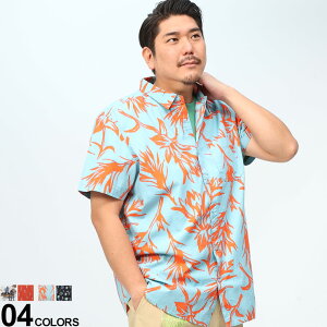 傫TCY Y THE NORTH FACE (U m[XtFCX) vg |Pbg  Vc BAYTRAIL PATTERN SHIRT Vc JWAVc NF0A55NDD22