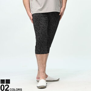 SHARETEKO VeR XeeRpc ⊴ H  OJ   傫TCY Y ubN lCr[ 3L 4L 5L 6L