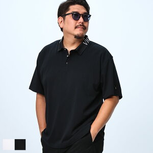 VIOLA rumore (BI[) Xgb` JQS  |Vc Y43300 傫TCY Y gbvX | St X|[c