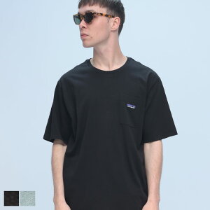THE NORTH FACE (ザ ノースフェイス) ワンポイント ポケット クルーネック 半袖 Tシャツ DAILY POCKET TEE 53255 メンズ 男性 トップス シャツ Tシャツ コットン ポケT 春 夏