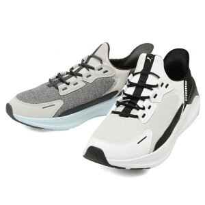 PUMA (v[}) SOFTRIDE Vg[ C[YC jOV[Y 312669 傫TCY Y V[Y C Xj[J[ jO EH[LO