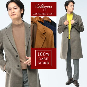 `FX^[R[g Y rWlX am TOLLEGNO JV~100 VO AE^[ tH[} JV~A JV~ H ~ M L LL 3L x[W COLLEZIONE RcBI[l