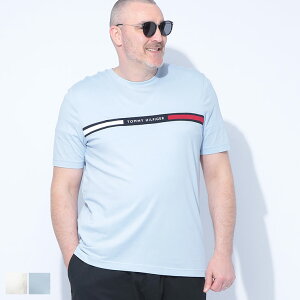 TOMMY HILFIGER (g~[qtBK[) tbOC M[tBbgN[lbN  TVc MW0MW36498D22 傫TCY Y gbvX TVc  Tee Vv X|[c Ci[