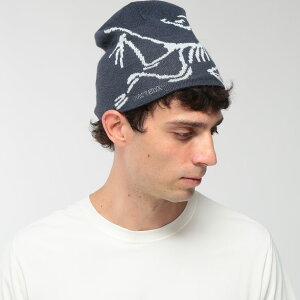 �A�[�N�e���N�X �����Y �j�b�g�L���b�v ARC'TERYX ���t���[�X BIG���S �j�b�g�X BIRD HEAD TOQUE ARCX000006756 �u�����h �X�q �j�b�g �r�[�j�[ �L���b�v �X�|�[�c ���W���[ �H �~