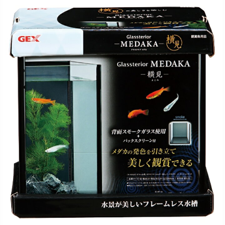 楽天市場 水槽 Gex グラステリア メダカ 横見 背面スモークガラス 3年保証 Glassterior アクアリウム アクアテラリウム メダカ 水槽 めだかシーズン 楽天市場店