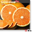 きよみオレンジ 訳あり 10kg 和歌山県産 送料無料！(北海道、沖縄県、東北地方除く) 清見オレンジ 清見タンゴール み…