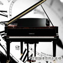 ピアノ調律・グランドピアノ　（定期調律専用）【名古屋のピアノ専門店】【2倍】