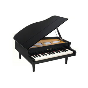 河合楽器 グランドピアノ 1141 楽器玩具 価格比較 価格 Com