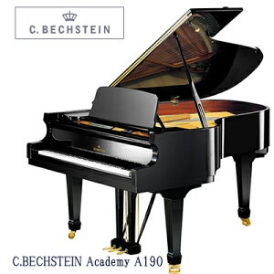 VisAm@C.BECHSTEIN@xqV^C@Academy A190