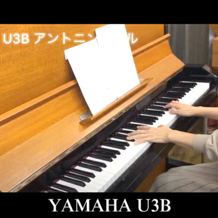 楽天市場】YAMAHAヤマハU3B【カラー：ウォルナット/黒】【木目艶消 