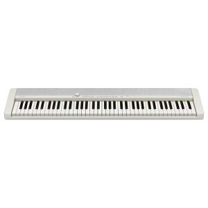 CASIO CT-S1-76@L[{[h@JVI@ yÉ̃sAmXz
