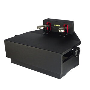 u12܂ł̂œoׁv}n~sAm⏕y_@PPA YAMAHAyÉ̃sAmXz