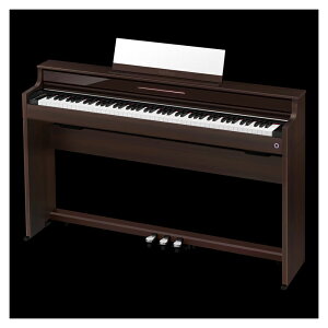 �J�V�I�X�����^�C�v�@���������F�ICASIO AP-S450WE