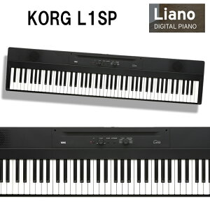 KORG L1SP LIANO dqsAmy88Ձz@yʁE^EIVIX^ht@ywbhziЁjAՃN[i[ANXAՃJo[@v[gIz