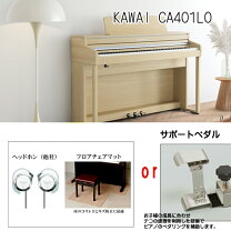 楽天市場】kawai ca48の通販