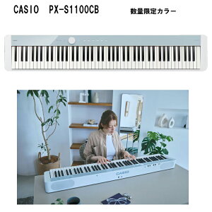 yʌJ[zCASIObJVI dqsAm Privia zCgJ[u[ PX-S1100CB 88