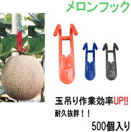プラスチック　フック　（メロンフック）　PPフック500個入り　メロン　フック 楽天　オリジナル商品　メ…