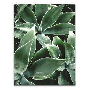�ی^�r�[�Y �_�C�������h�A�[�g �L�b�g ���S�� 5D 50×40cm �h�J�L�b�g 30×40cm �t�� �r�[�Y�h�J ��^ �l�p�r�[�Y �ϗt�A�� �c�^ �A�[�g �_�C�������h �h�J ���U�C�N�A�[�g ���S�҃Z�b�g �r�[�Y�A