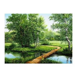�ی^�r�[�Y �h�J�L�b�g 5D �_�C�������h�A�[�g �c�� �t�� 50×40cm �L�b�g �l�p�r�[�Y �� 50×40cm �i�F ���^ ��^ �_�C�������h ���i ���S�� �r�[�Y�h�J �A�[�g �r�[�Y�A�[�g �h�J ���U�C�N�A�[�g 