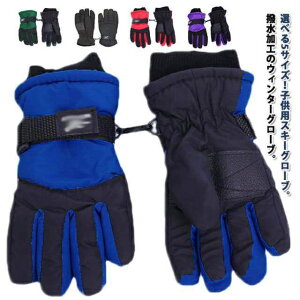 5{w XL[O[u h g XL[ LbY ۉ Xm[O[u Xm{ ̎q  ʉ V Ⴉ qp AEghA ] Xm[ ʊw h ĂԂ ~ j̎q 