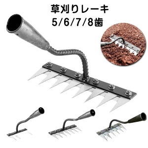 @\ @N 背[L Gc[ 5/6/7/8{ yق G蓹 蓹 G΍ F XeX y 背[L  _Ɨp ƒ뉀| |pi