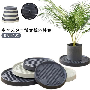 v[g Aؔ t[X^h y LX^[t ړԑ AؔLX^[ LX^[  A u ϗtA x_ ] v^[X^h K[fjO 