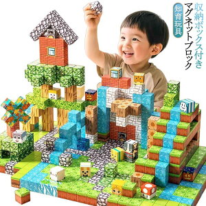 �}�O�l�b�g�L���[�u �}�C���N���t�g�� ���� ���΃u���b�N �a�����v���[���g �}�C���N�� ���� �}�O�l�b�g�u���b�N �u���b�N �m��ߋ� �}�O�l�b�g�u���b�N ���̃p�Y�� �q�� �N���X�}�X ����