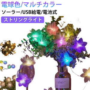 ������� �\�[���[ �d�r�� �g������ �C���~�l�[�V���� USB���d �� �@�C�o�[���C�g LED�X�g�����O���C�g ���� �V�N ���O �� �d�� �N���X�}�X���� �a���� ������ �X�g�����O���C�g �Ղ� ���胉�C