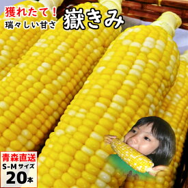 とうもろこし 嶽きみ だけきみ S-Mサイズ 20本入 青森県産 ダケキミ トウモロコシ とうきび もろこし 産地直送 送料無料