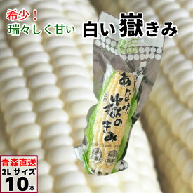 あなた嶽のきみ ホワイトコーン （真空パック） LLサイズ 10本/20本/30本 青森県産 白いとうもろこし とうもろこし 嶽きみ だけきみ ダケキミ コーン とうきび トウキビ キビ きみ 産地直送 岩木屋 送料無料