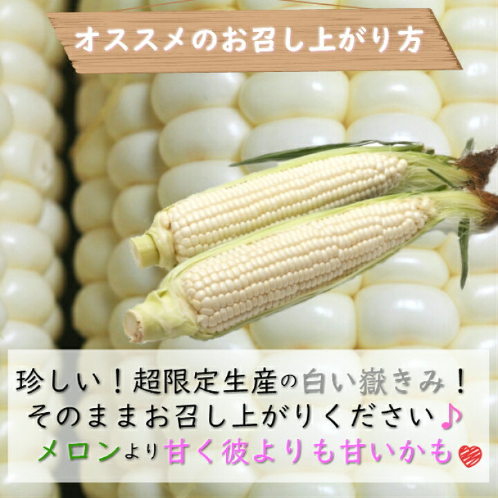 市場】嶽きみ とうもろこし 青森産 Sサイズ 10本(真空パック)ホワイトコーン 白いとうもろこし あなた嶽のきみ だけきみ ダケキミ コーン とうきび トウキビ キビ きみ 産地直送 岩木屋 送料無料 : 青森りんごとグルメ通販のしらかみ 市場】嶽きみ とうもろこし 青森産 Sサイズ 10本(真空パック)ホワイトコーン 白いとうもろこし あなた嶽のきみ だけきみ ダケキミ コーン とうきび トウキビ キビ きみ 産地直送 岩木屋 送料無料 : 青森りんごとグルメ通販のしらかみ