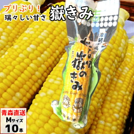 あなた嶽のきみ（真空パック） Mサイズ 10本 青森産 とうもろこし トウモロコシ 嶽きみ だけきみ ダケキミ コーン もろこし きび きみ 産地直送 岩木屋 送料無料