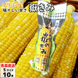 あなた嶽のきみ （真空パック） Sサイズ 10本/20本/30本 青森産 とうもろこし トウモロコシ 嶽きみ だけきみ ダケキミ コーン もろこし きび きみ 産地直送 岩木屋 送料無料